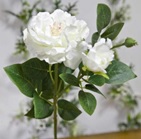 RAMIREZ Michelle Née BREMONT